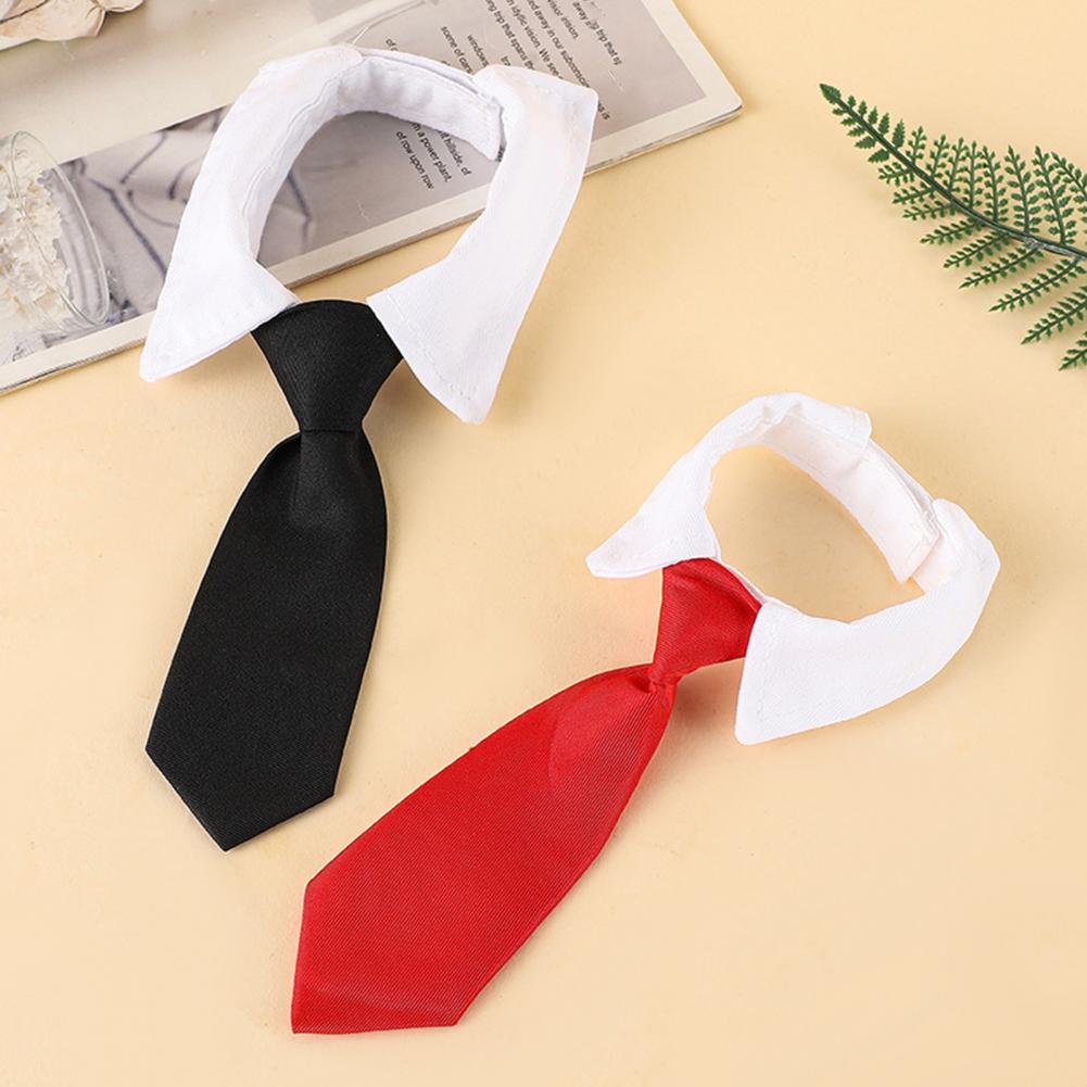 Krawat dla psa w stylu smoking – Suit Supply Wedding Party recenzja i cena