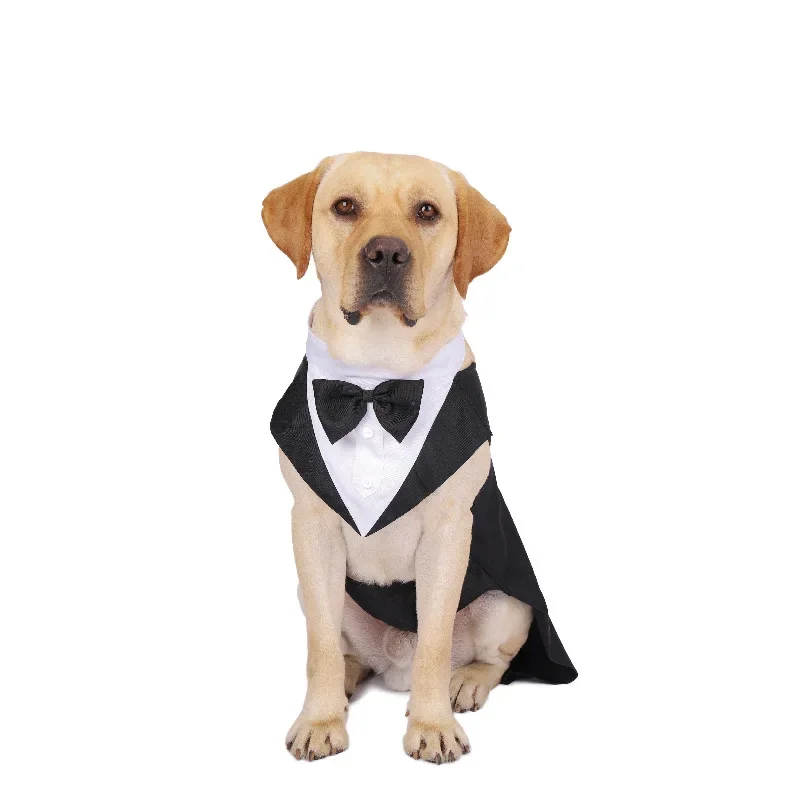 Ubrania dla psów, koszula ślub – Suit Supply Wedding Party recenzja i cena