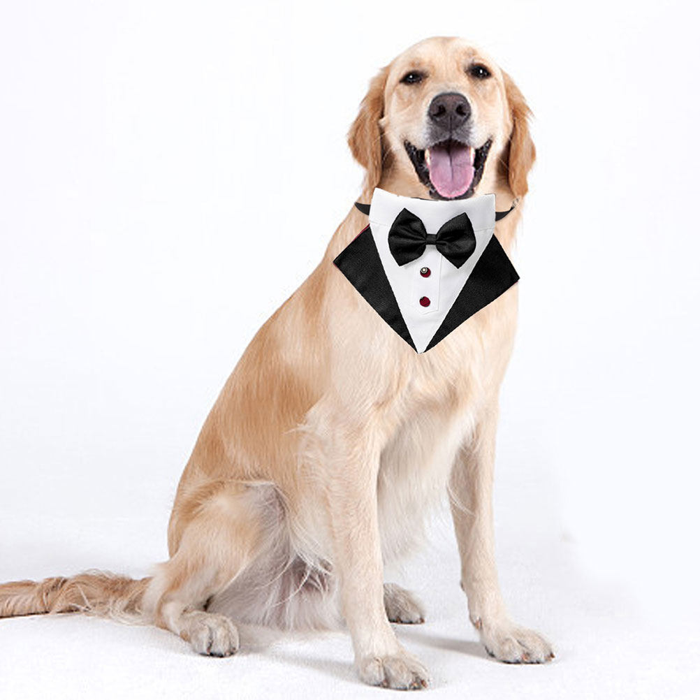 1 zestaw: garnitur i bandana d – Suit Supply Wedding Party recenzja i cena
